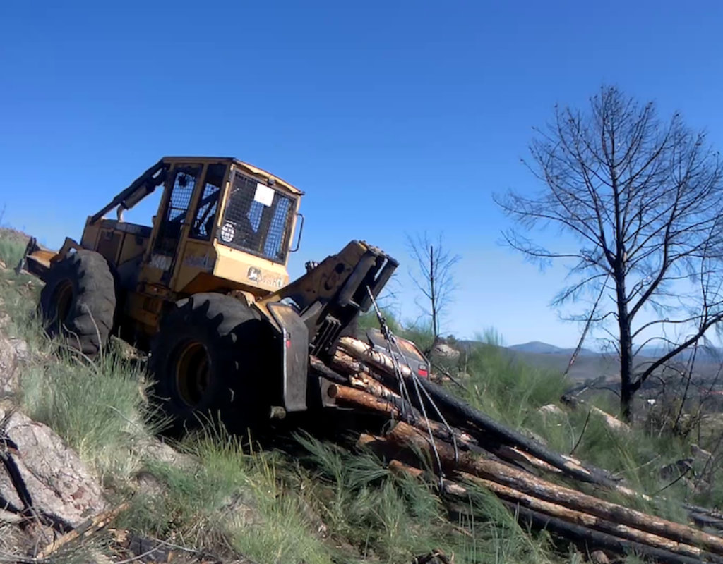 Tractor Forestal